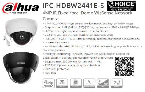DAHUA CCTV DOME 4MP DH-IPC-DHBW2441E-S Mic 256GB H.265 IP67 AI Intrusion DMSS Smart PSS DAHUA Camera Singapore Repair