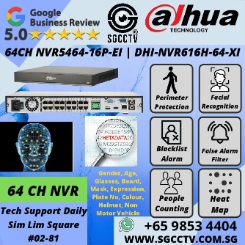 DAHUA 4MP 4X-ZOOM DH-SD22404DB-GNY Starlight WizSense PTZ Camera Construction Renovation CCTV Camera Repair Replace Singapore 4 DAHUA NVR Promotion 64ch NVR5464-16P-EI NVR616H-64-XI 128ch DHI-NVR616H-128-XI CCTV CAMERA Security System Supplier
